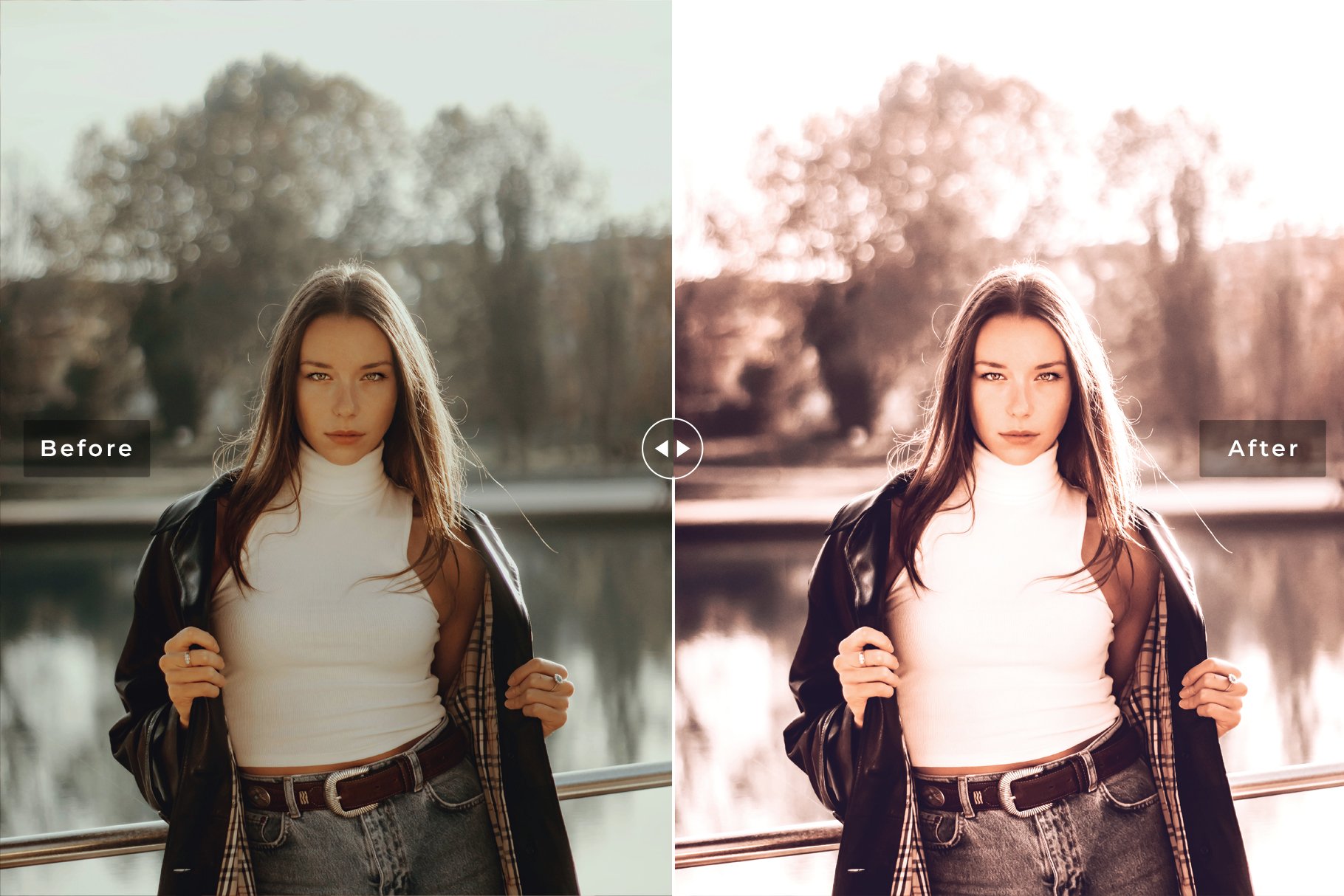 Brandy Pro Lightroom Presetspreview image.