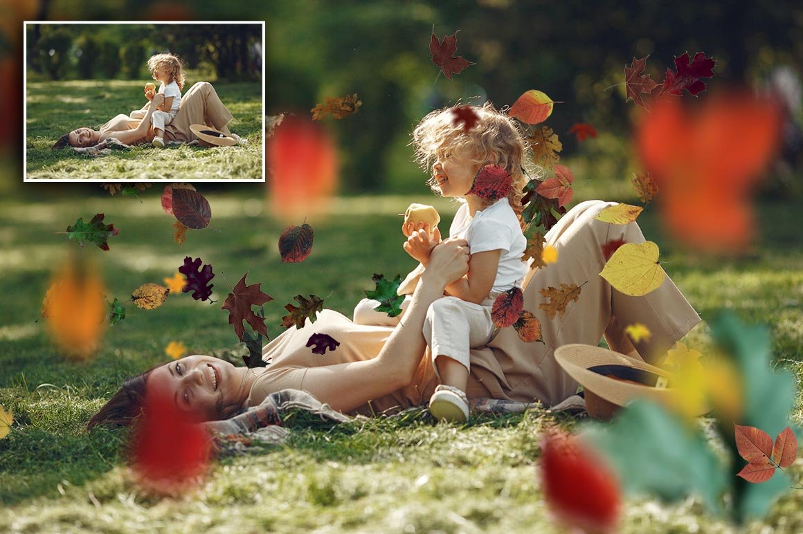 51 Autumn Leaves Photo Overlay PNGpreview image.