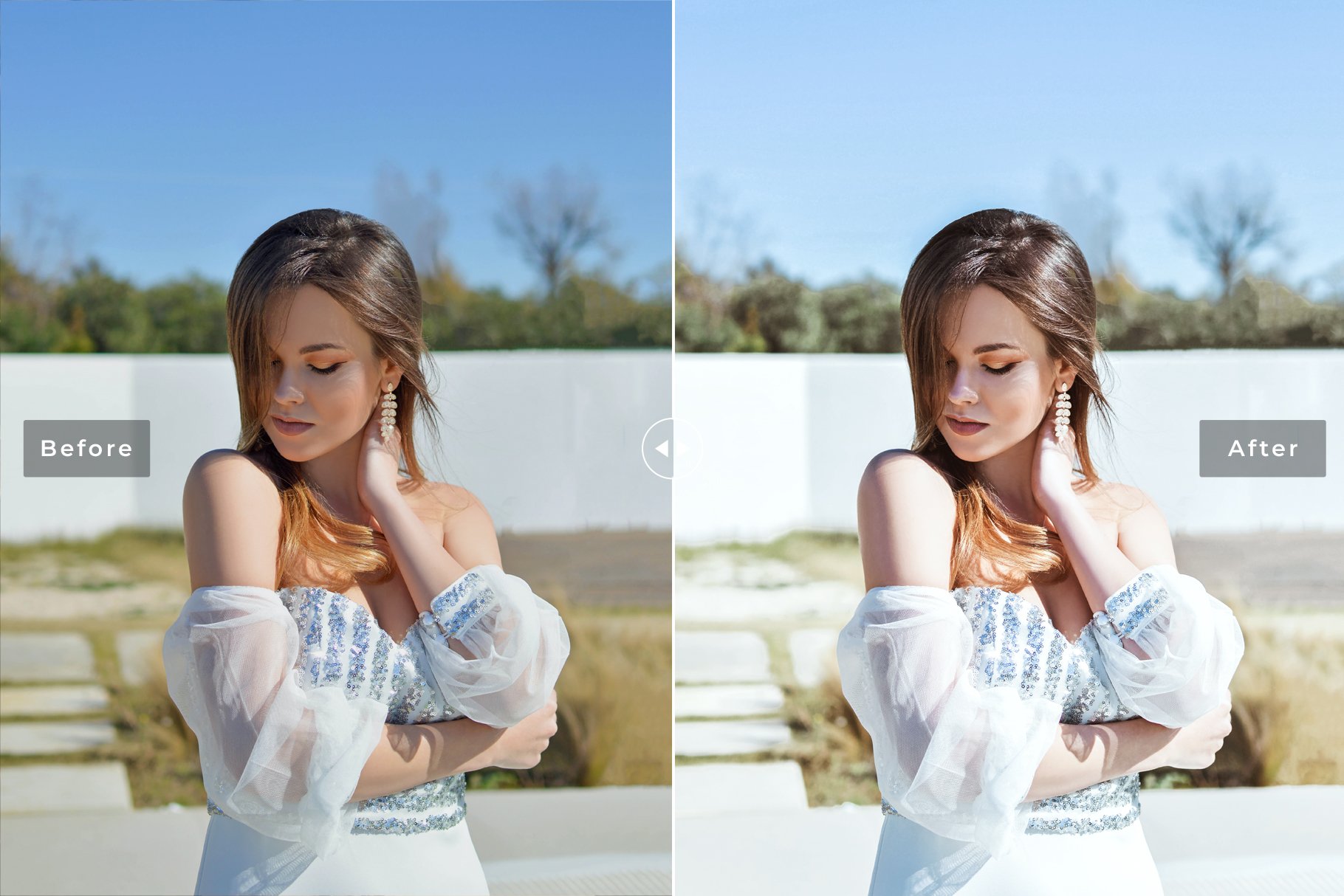 Luminous Pro Lightroom Presetspreview image.