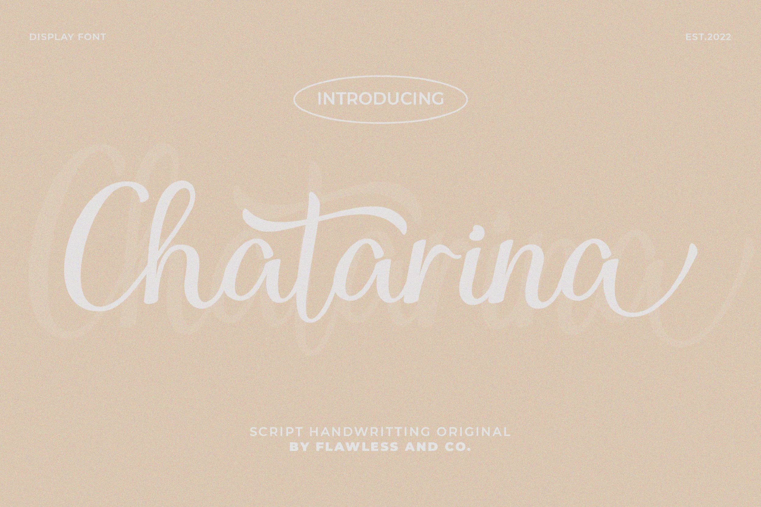 Chatarina cover image.