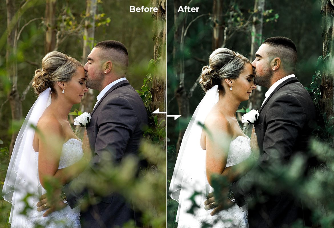 Presets & Actions - Wedding Potretpreview image.