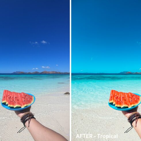 Tropical Lightroom Presets (Desktop)cover image.