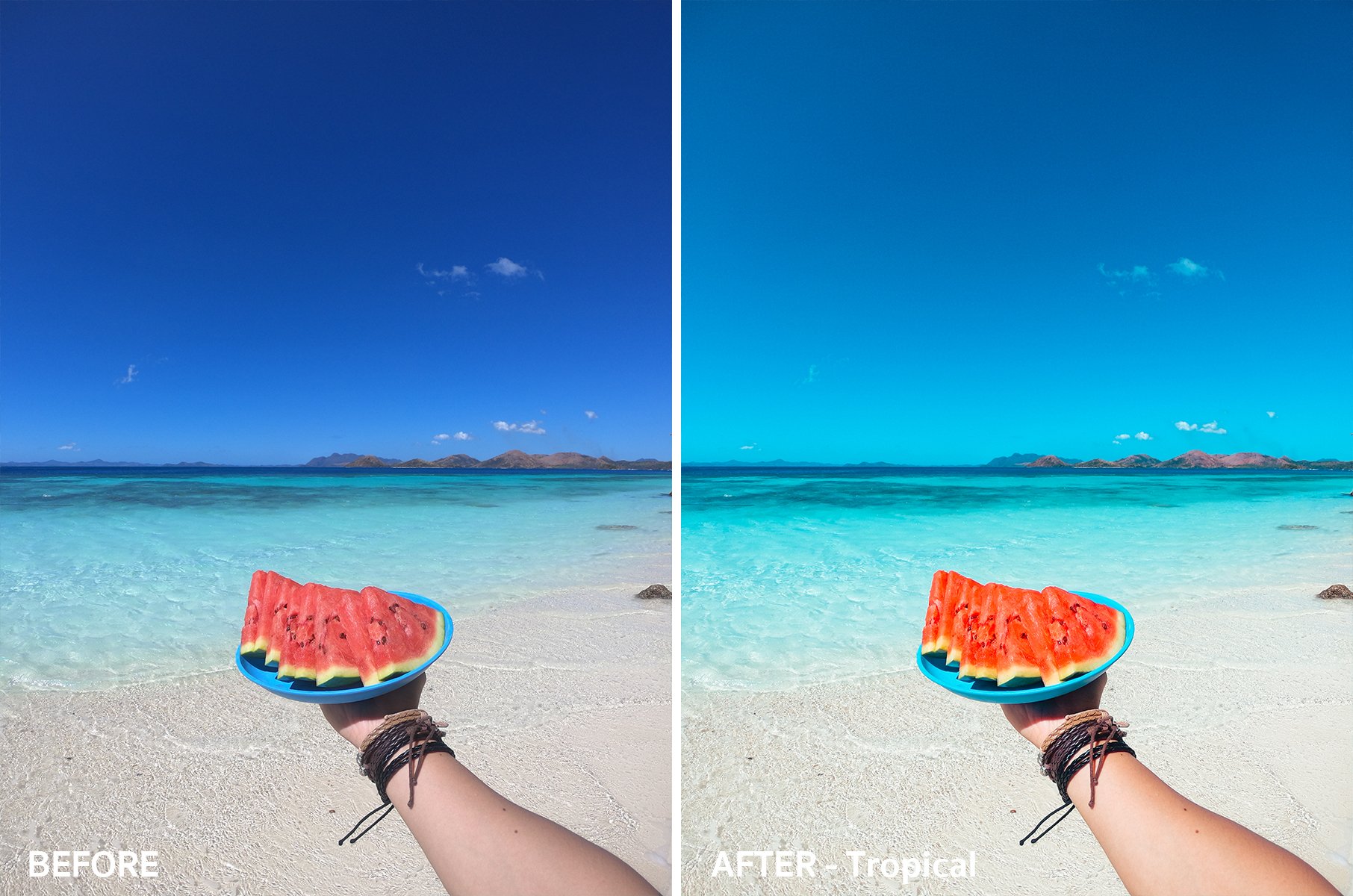 Tropical Lightroom Presets (Desktop)cover image.