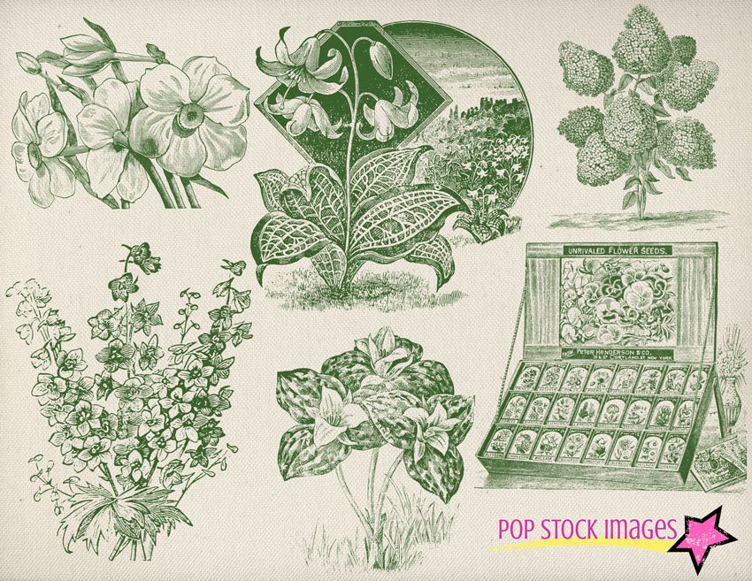 Vintage Garden & Seeds Brushes Setpreview image.
