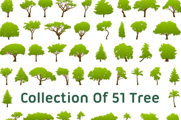 Collection Of 51 Tree cover image.