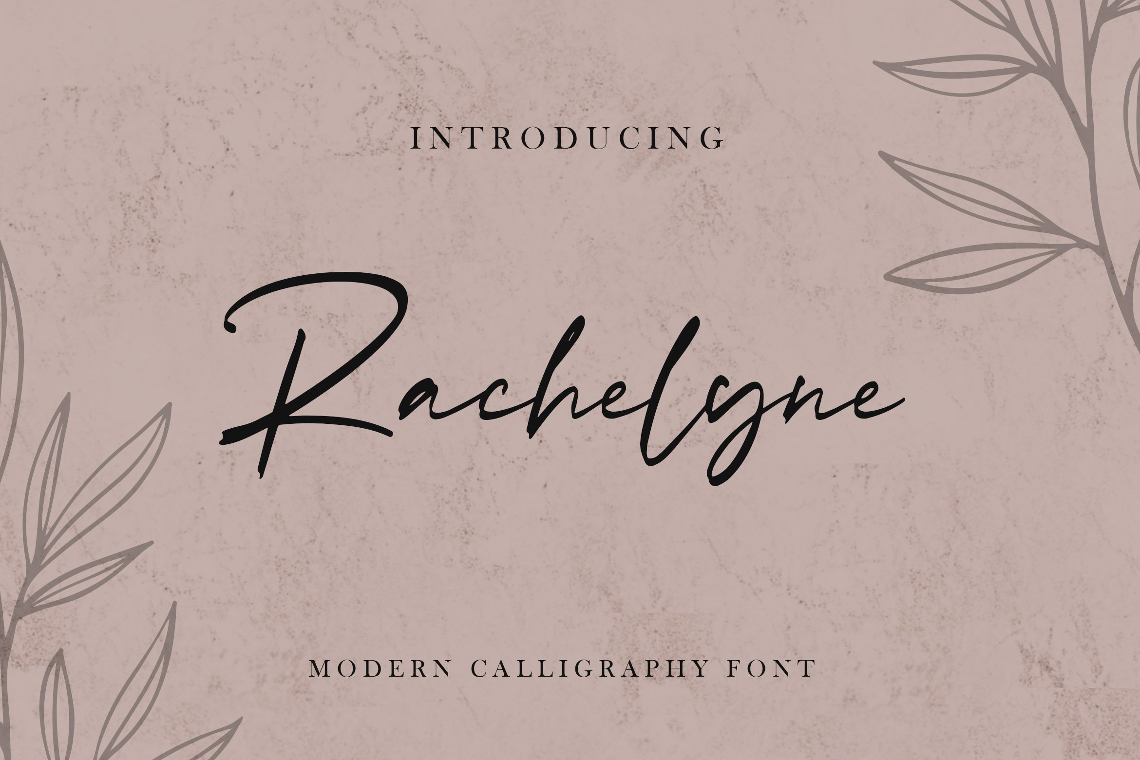 Rachelyne - Modern Calligraphy Font cover image.