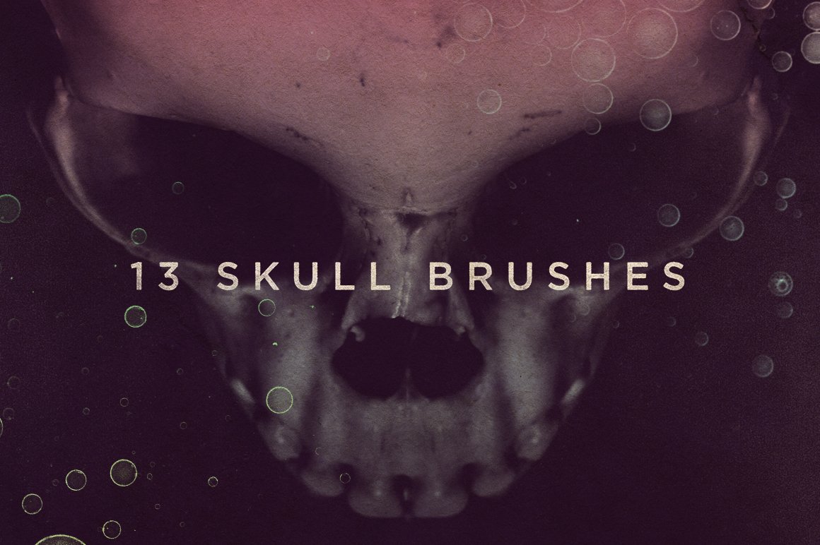 Skull Brushescover image.