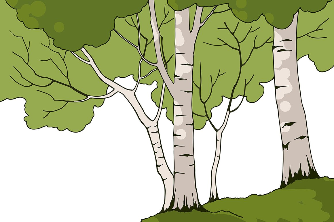 Birch Trees preview image.