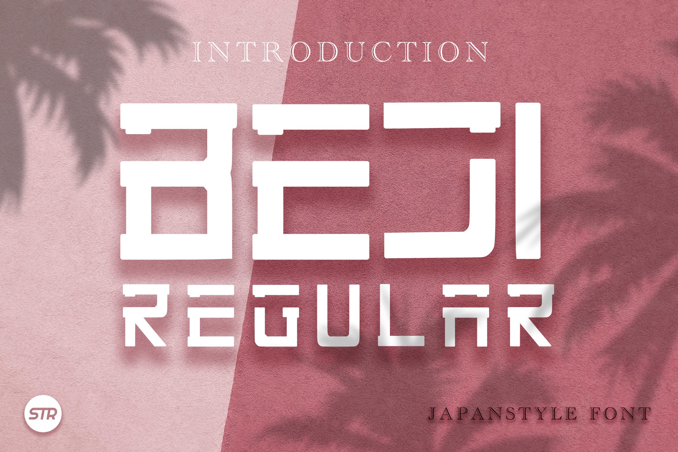 Beji Regular - Japan Style Font cover image.