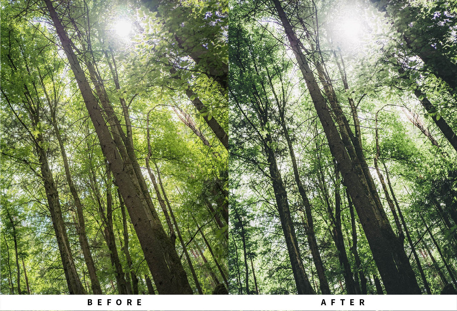 10 Bright Film Lightroom Presetspreview image.