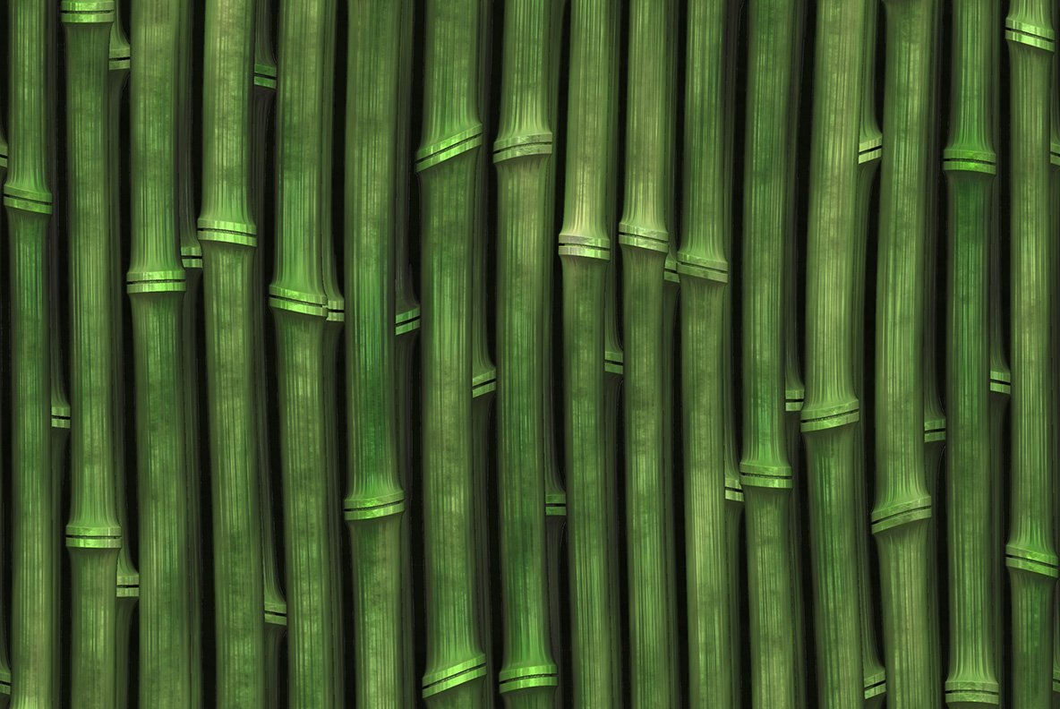 Close up of a bunch of green bamboo sticks.