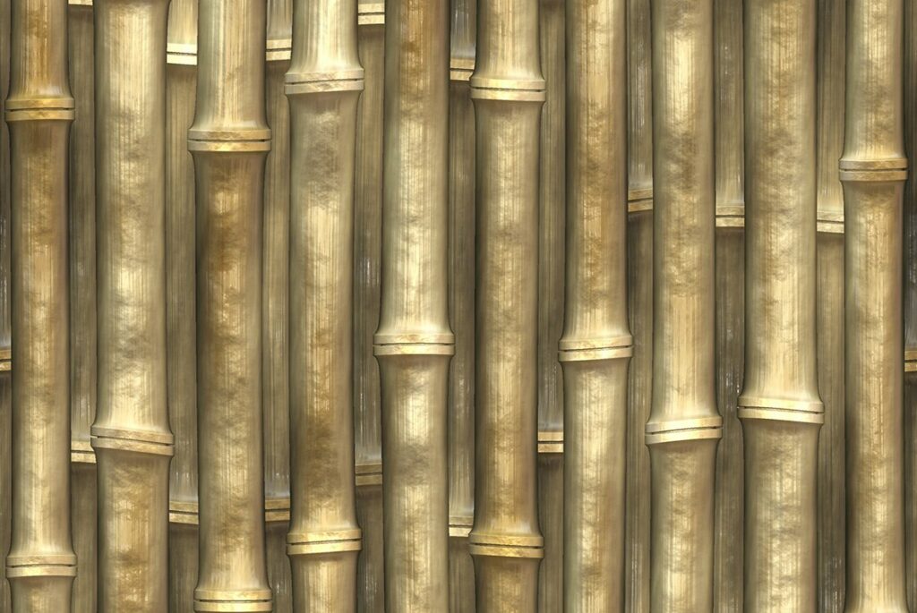 Bamboo Textures – MasterBundles