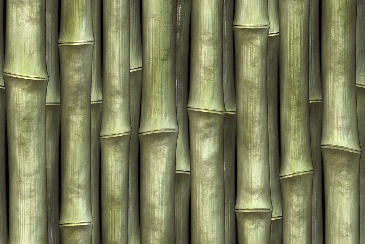Close up of a bunch of bamboo sticks.