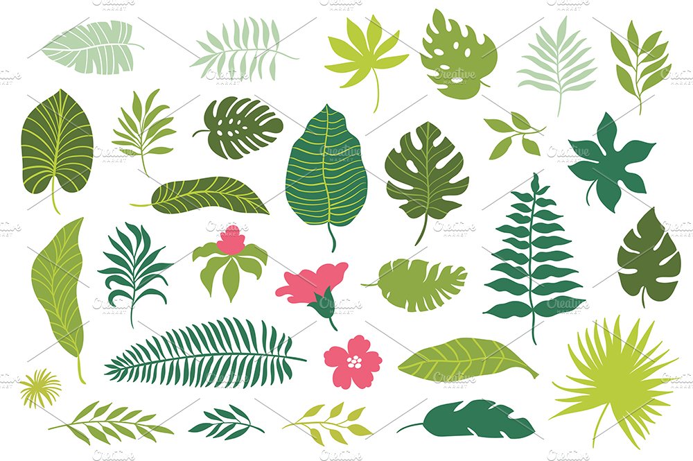 Tropical Leaves cover image.