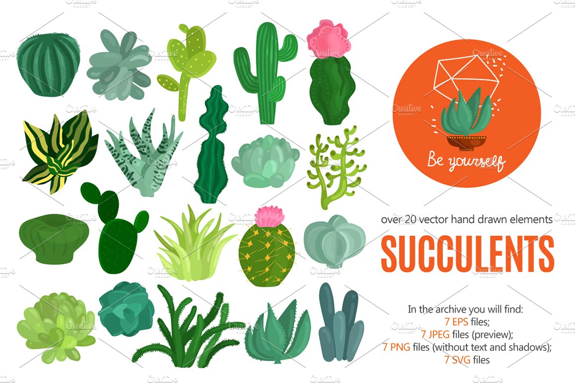 Succulents Flat Set cover image.
