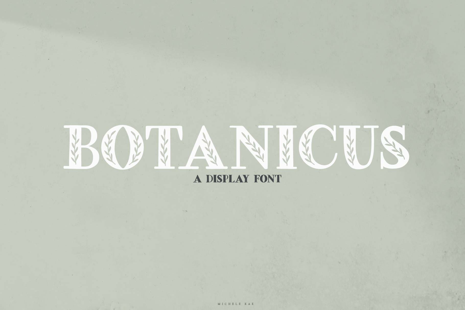 Botanicus | A Display Font cover image.