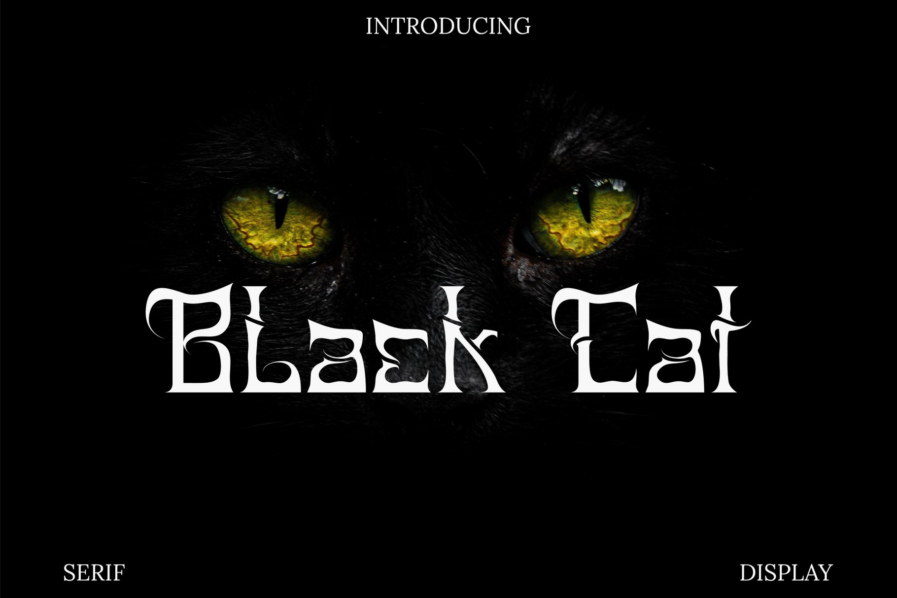 Black Cat-Grindcore Metal Font cover image.