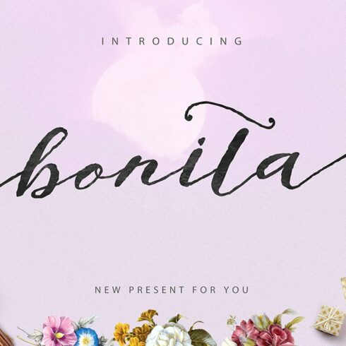 Bonita Script 20%OFF cover image.