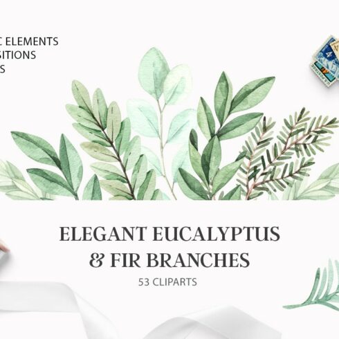 Elegant eucalyptus & fir branches cover image.