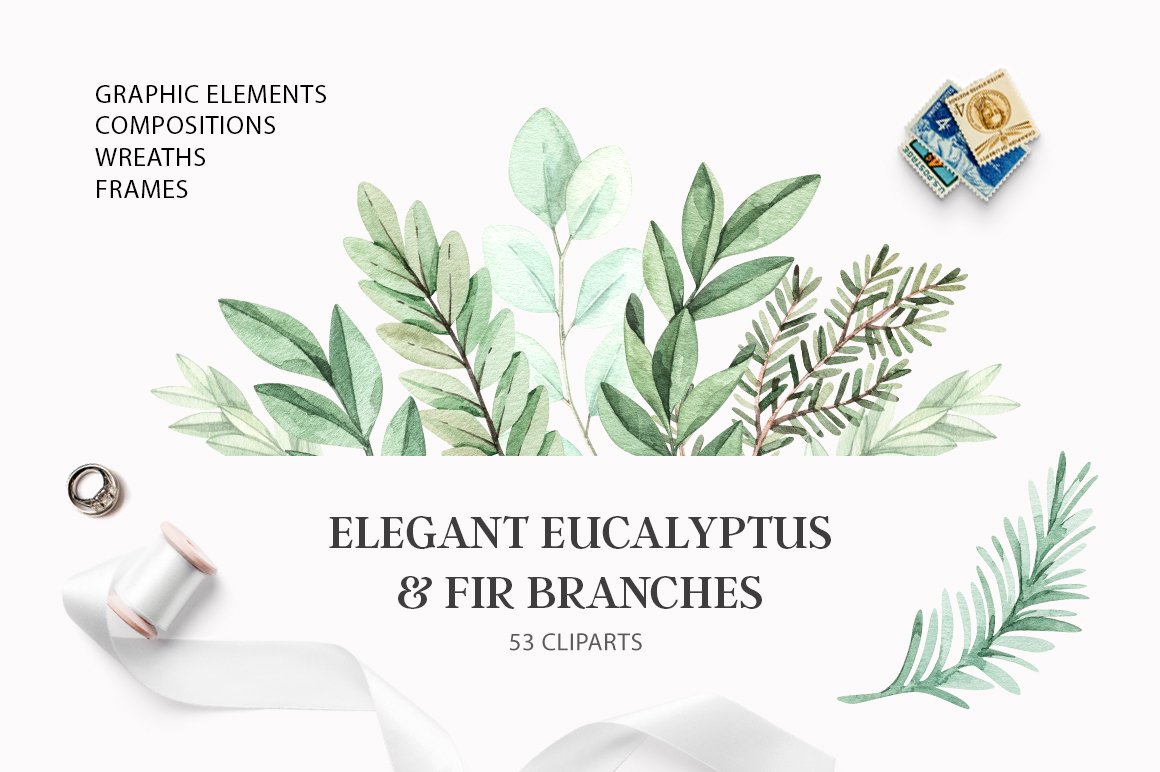 Elegant eucalyptus & fir branches cover image.