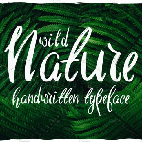 Wild Nature Script Typeface cover image.