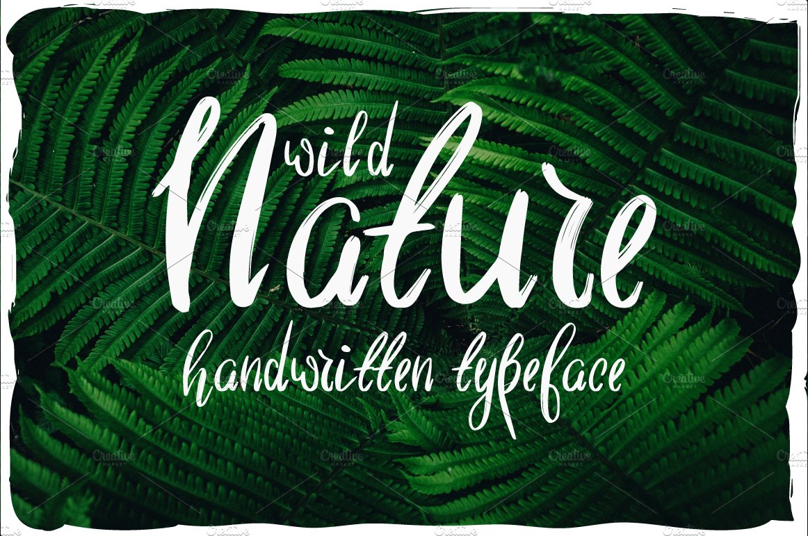 Wild Nature Script Typeface MasterBundles