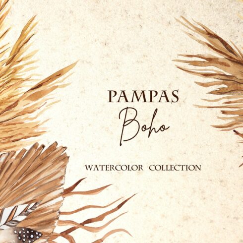 Pampas Boho. Watercolor collection cover image.