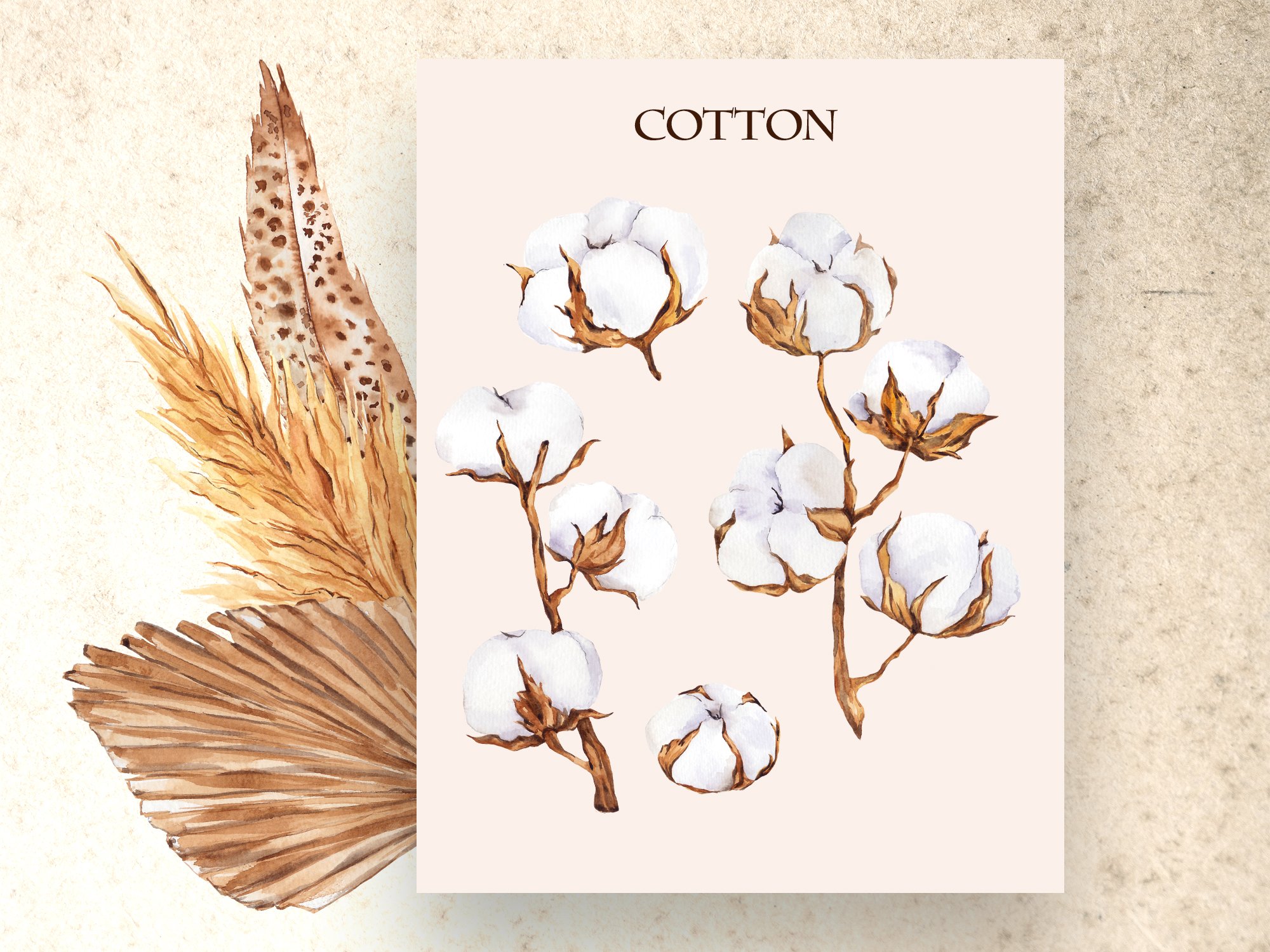 Card with cotton on it next to a feather.