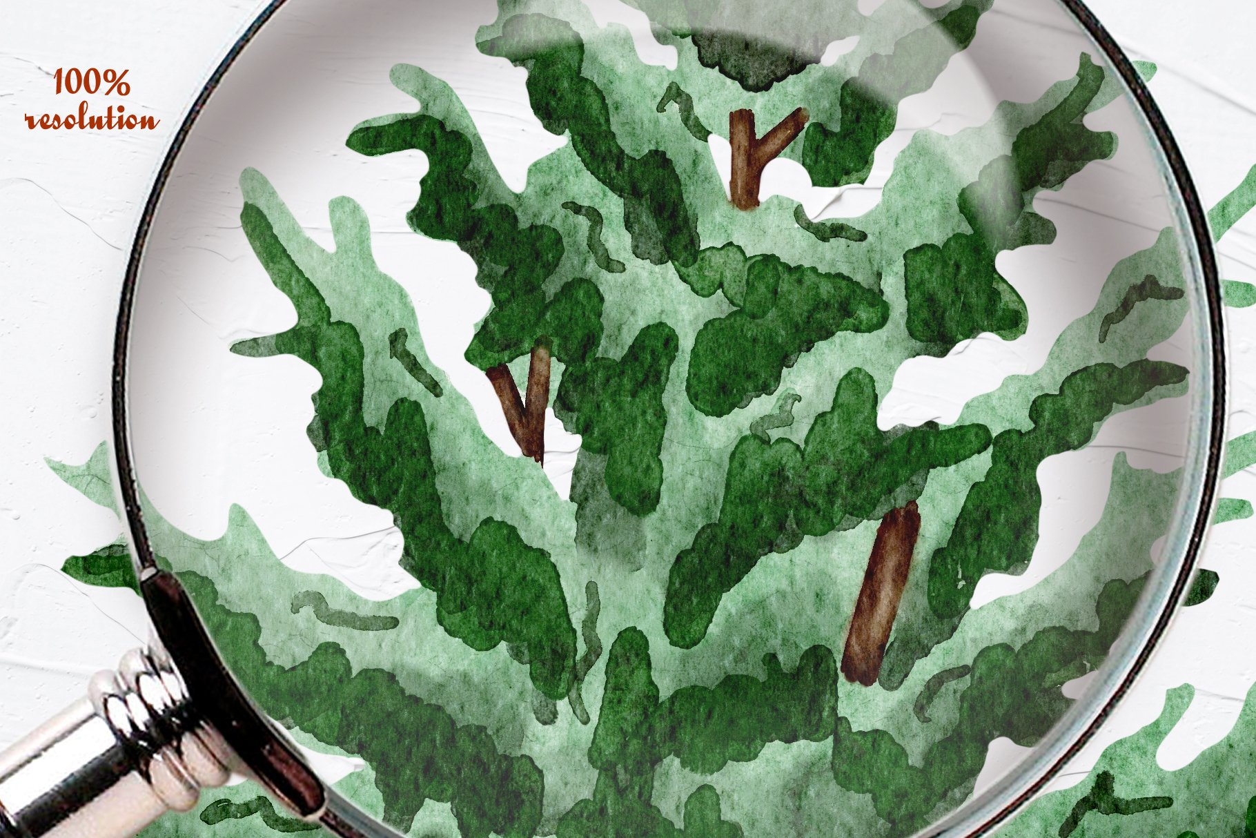 Drawing of a green plant on a plate under a magnifying glass.