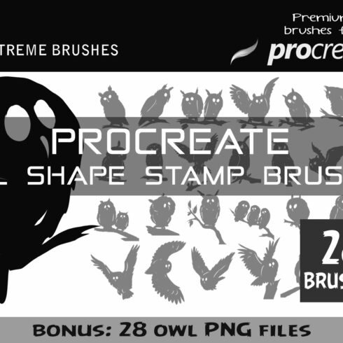 Procreate Owl Brushes!cover image.