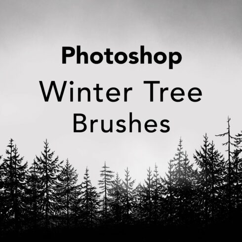 Photoshop Winter Tree Brushescover image.