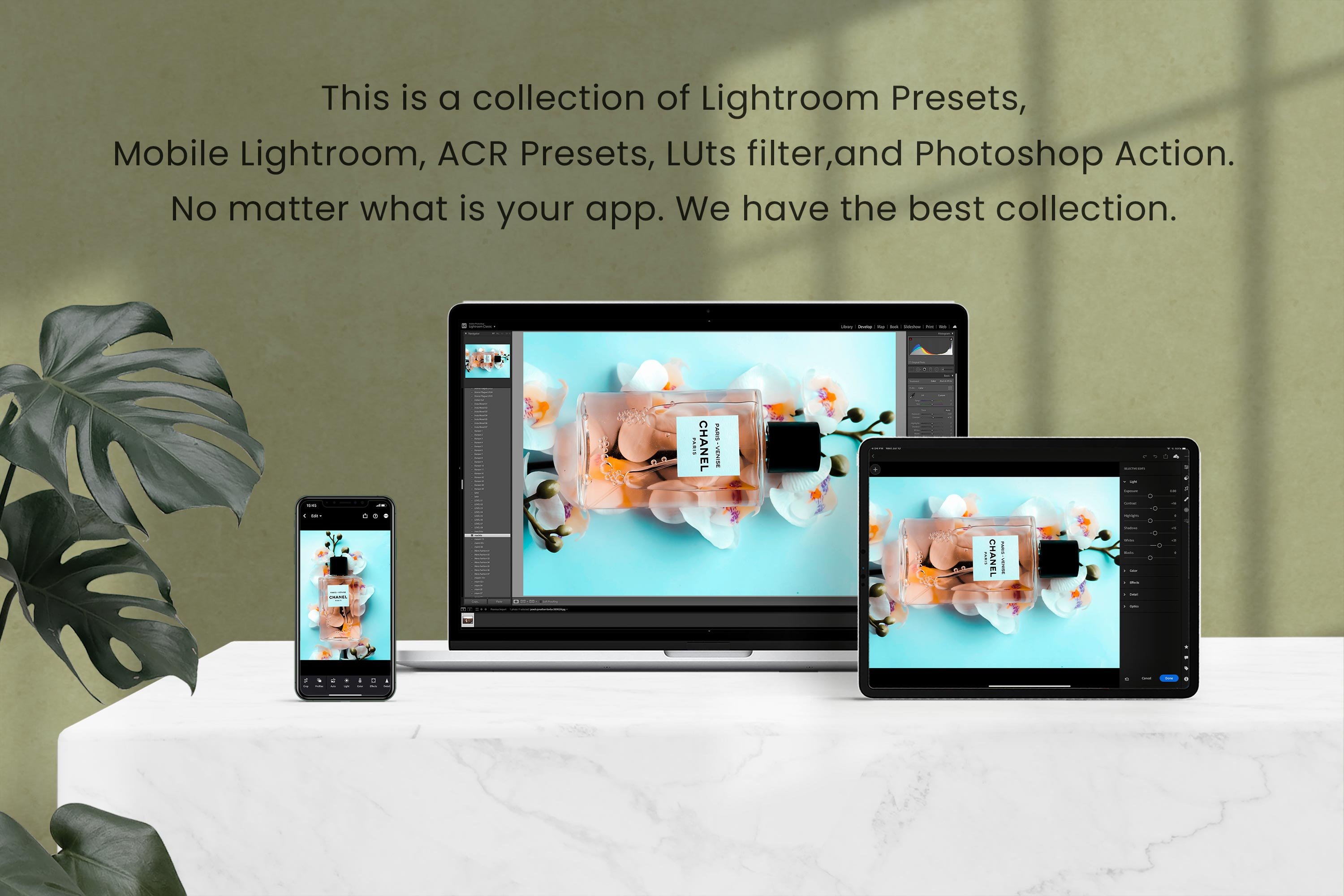 Products Lightroom Photoshop LUTspreview image.