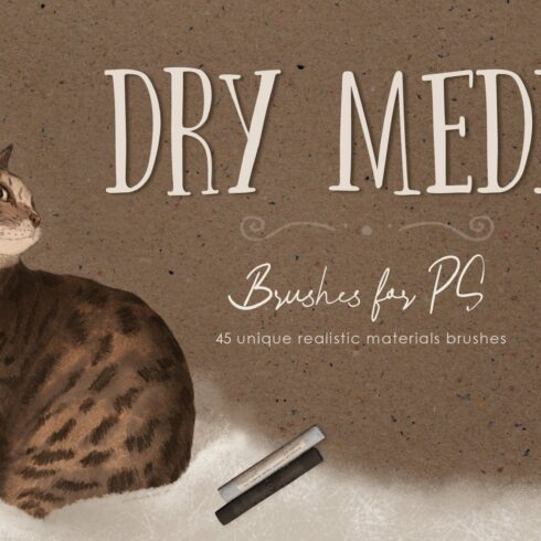 Dry media. Brushes for PScover image.