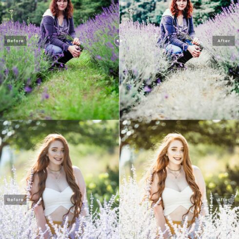 Provence Lightroom Presets Packcover image.