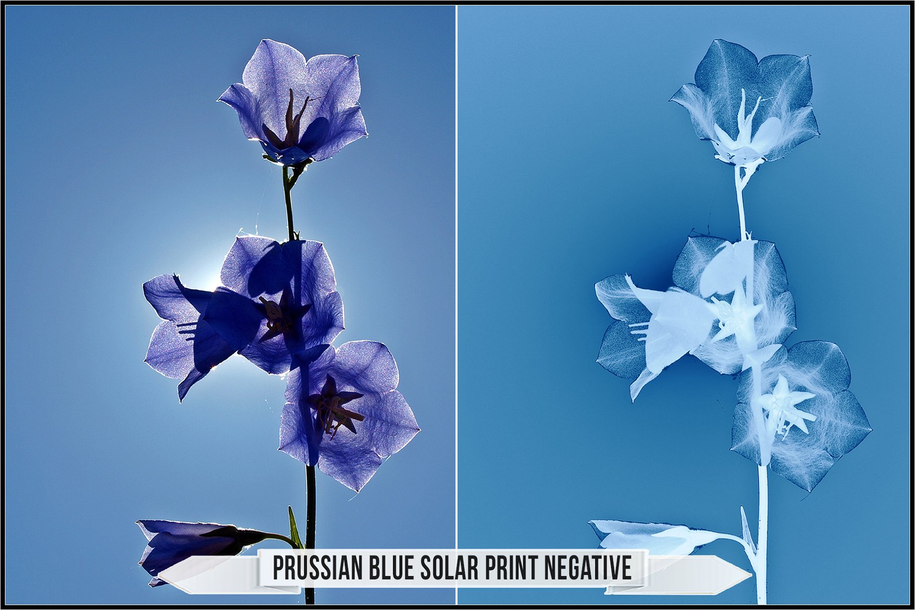 prussian blue solar print negative 133