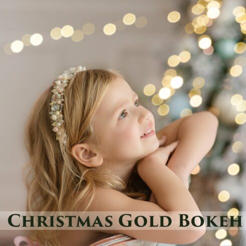 60 Christmas Gold Bokeh Overlayscover image.