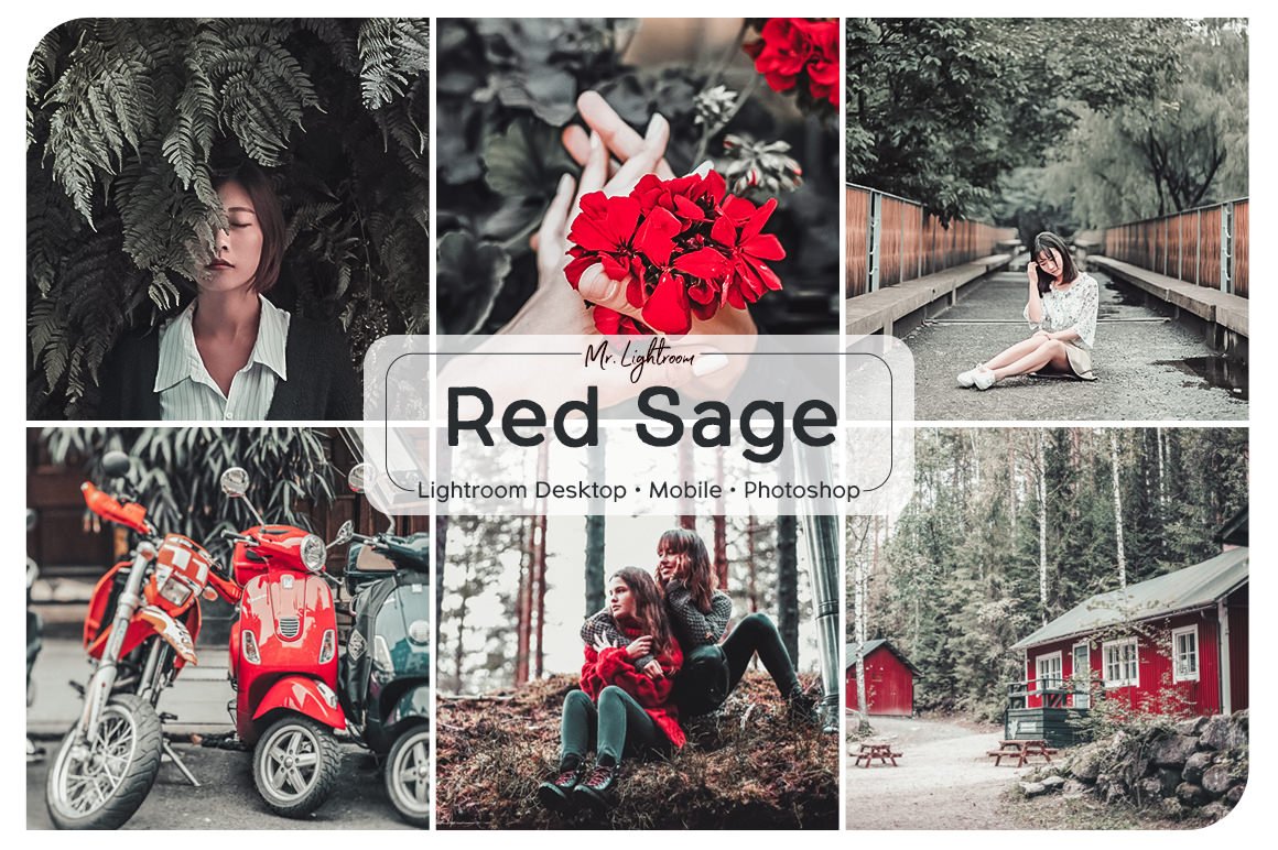 Red Sage Lightroom Presetscover image.