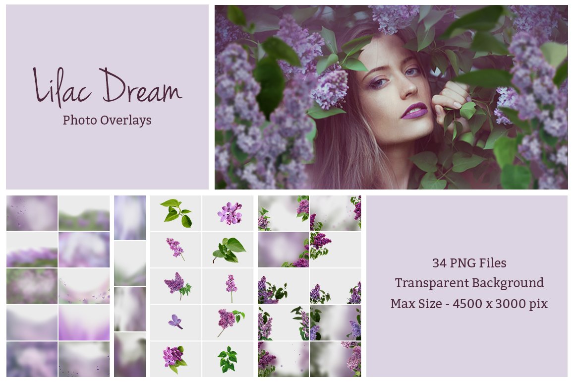 Lilac Photo Overlays (39 PNG)preview image.