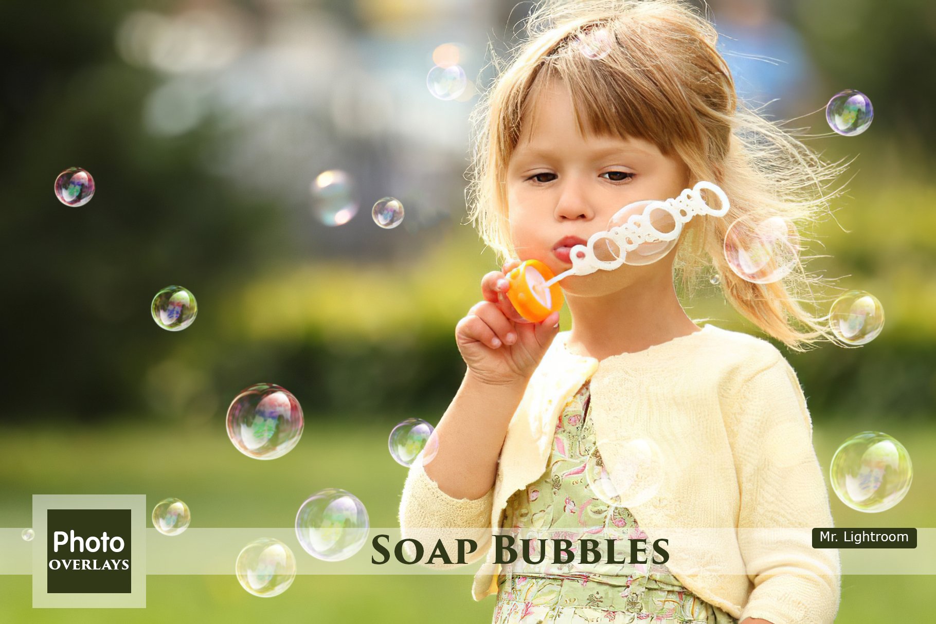 Soap Bubble Overlayscover image.