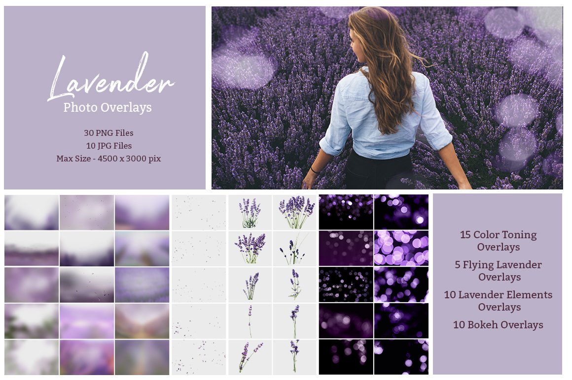40 Lavender Overlayspreview image.