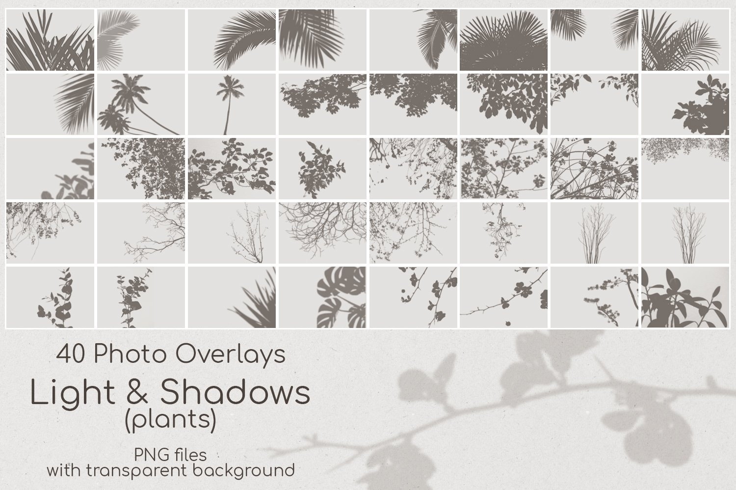 40 Plant Shadows Overlayspreview image.