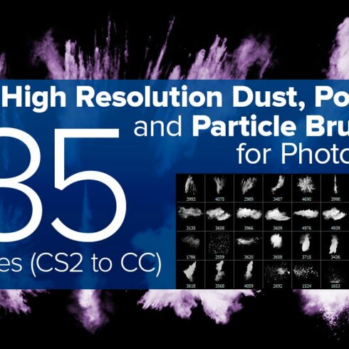 Dust, Powder and Particle Brushescover image.