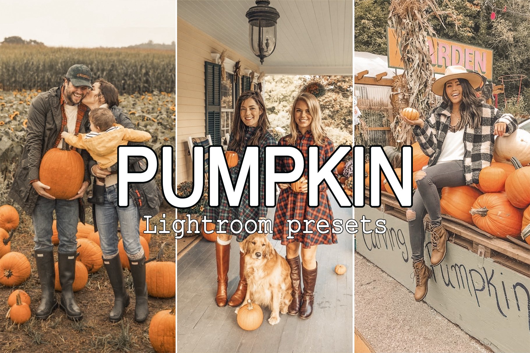 Pumpkin Lightroom Presetscover image.