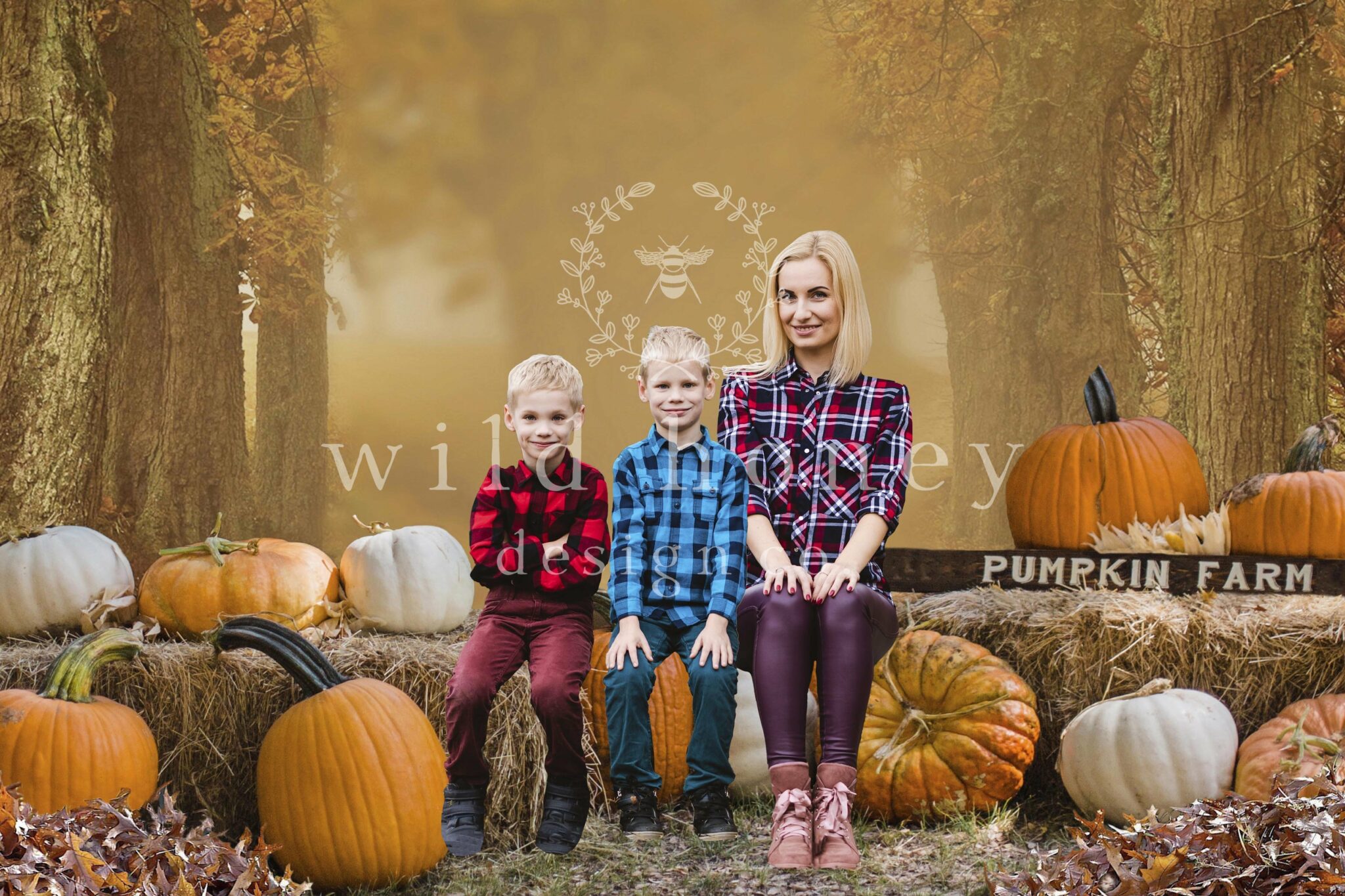 Autumn Pumpkin Sunflower Barnwood Backdrop For Child Photography Studio