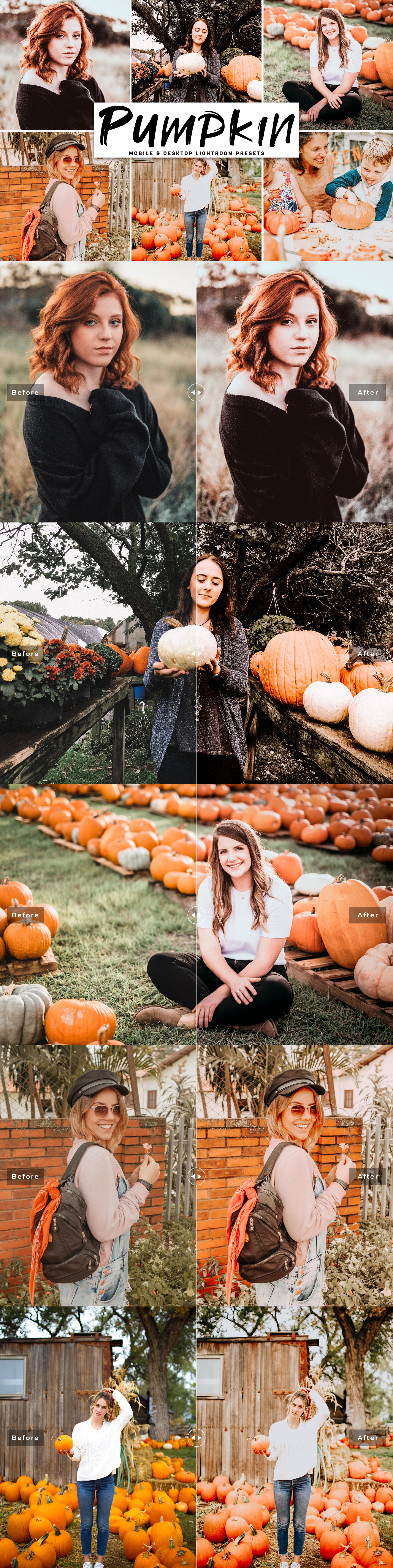 Pumpkin Lightroom Presets Packcover image.