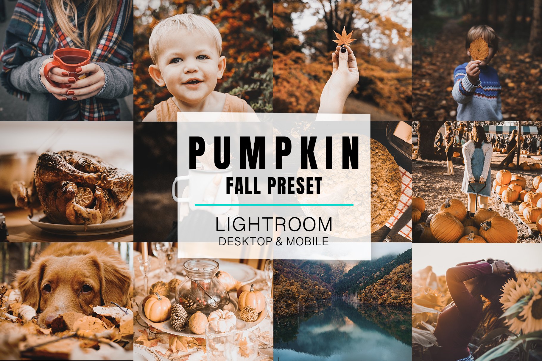 Lightroom Mobile - Pumpkincover image.