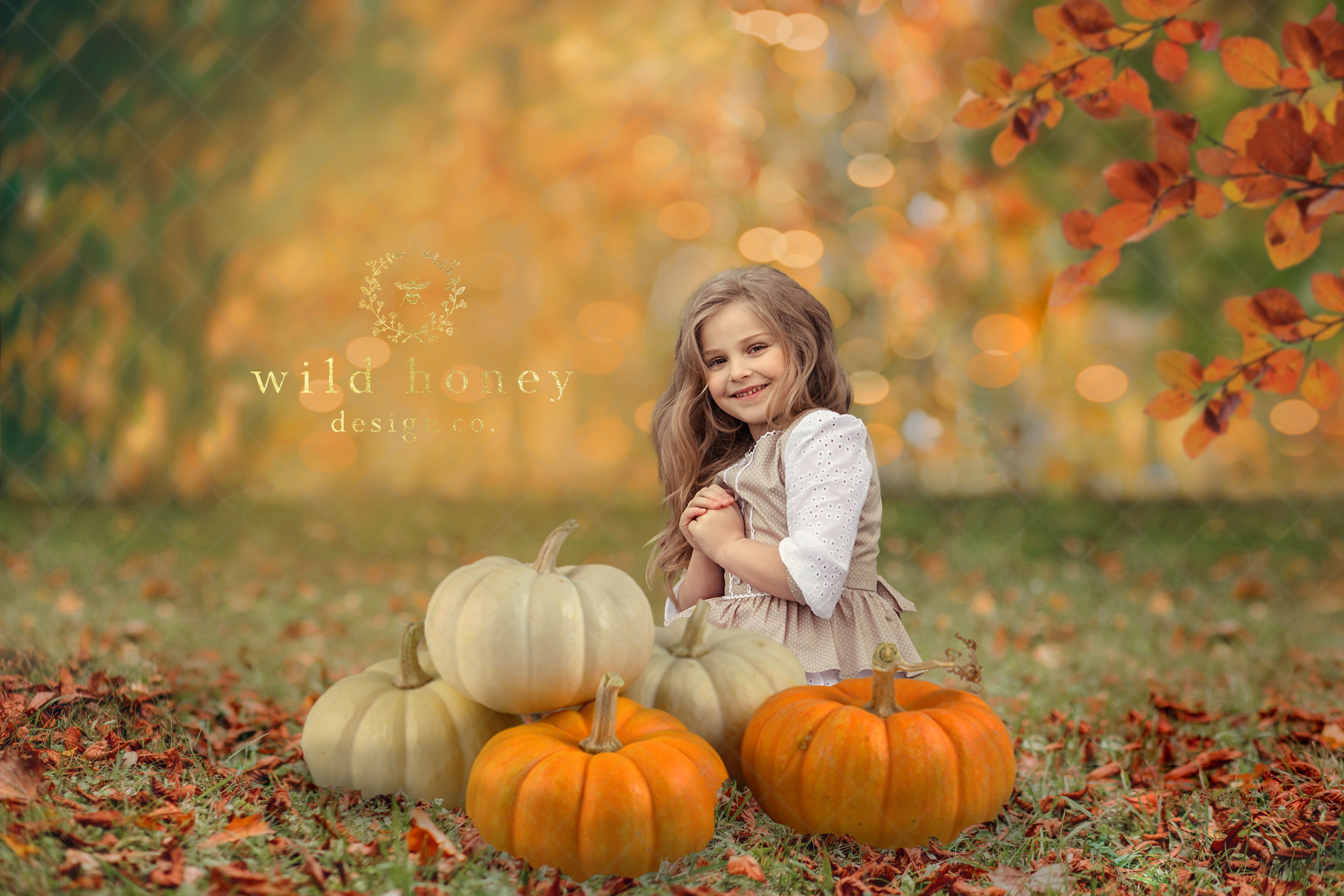 Pumpkin Fall Digital Backdropcover image.