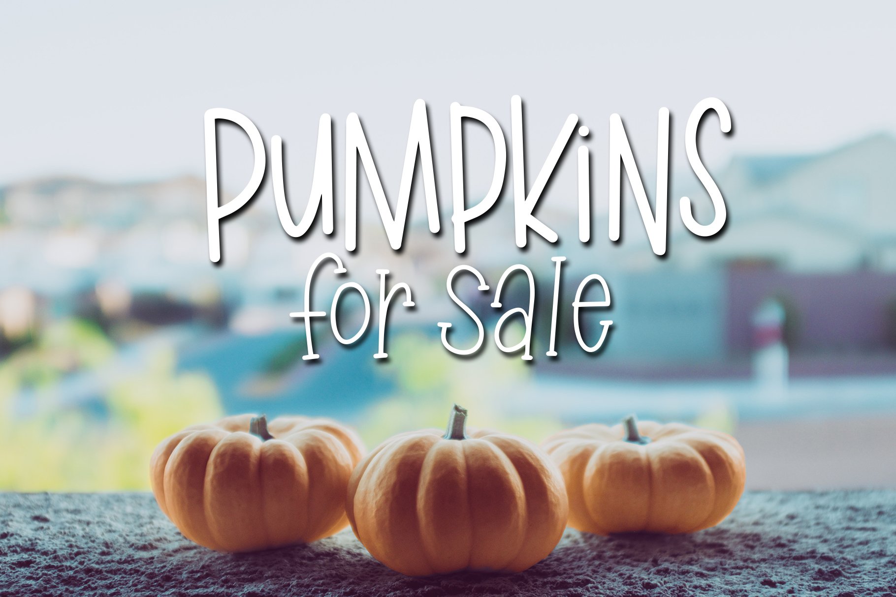 pumpkins for sale 883