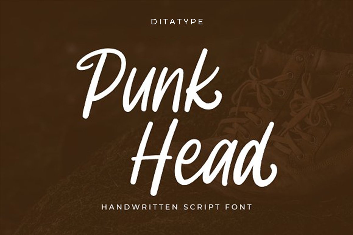 Punk Head cover image.