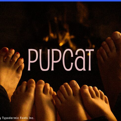 Pupcat cover image.